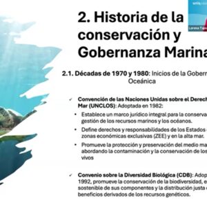 Presidenta de Fundación Naturalia, Lorena Tapia, participó en openclass de la UNIR