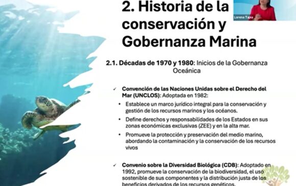 Presidenta de Fundación Naturalia, Lorena Tapia, participó en openclass de la UNIR